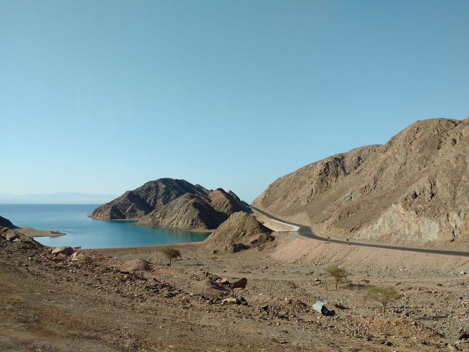 Photo of The mysterious Sinia Desert 3/19 by Maithili Madhusudanan