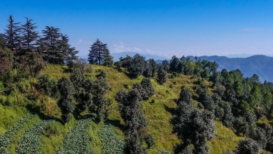 Photo of Head To These Untouched Hill Stations In Uttarakhand For A Serene Vacation 4/4 by Sahil Singh - Ghoomakad.in