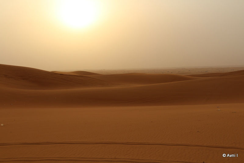 Photo of Dubai in 4 days 2/3 by Avni