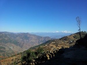 Photo of Dhanaulti – Paradise less travelled by Avni