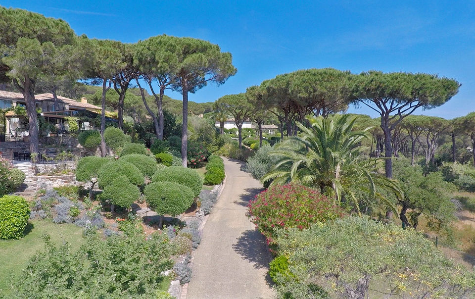 Photo of Hotel Villa Marie - Luxury Oasis in Saint Tropez 3/27 by Jana Dunworth