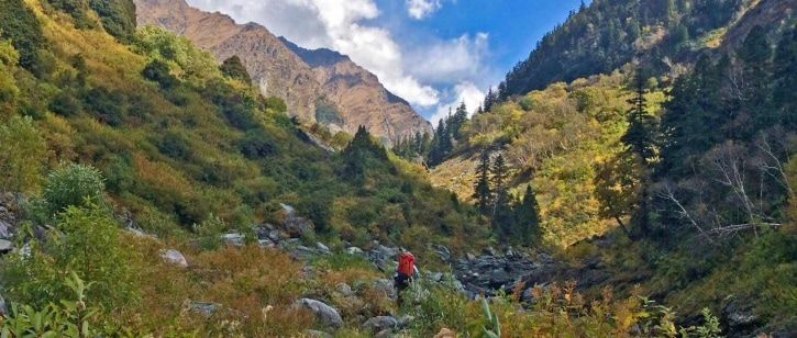 Photo of Meet 83 YO Chatri Devi, Who's Been Living In The Great Himalayan National Park In Complete Isolation 4/4 by myheartontheroad