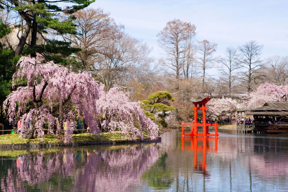 Photo of The Best Gardens In NYC by Akshay Sharma