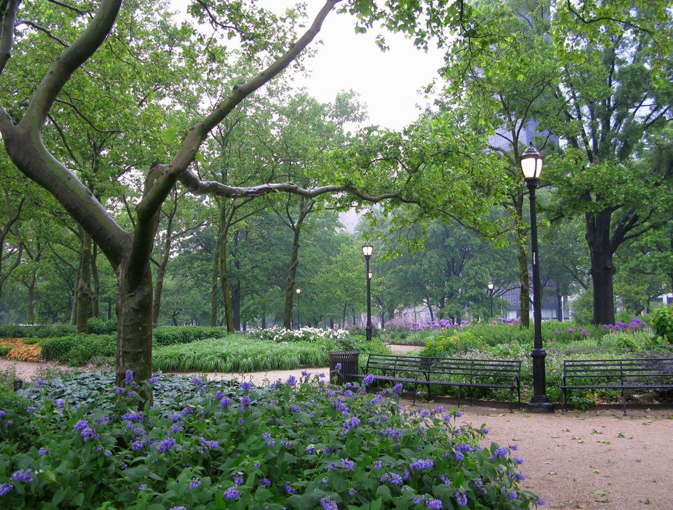 Photo of New York, NY, United States by Akshay Sharma