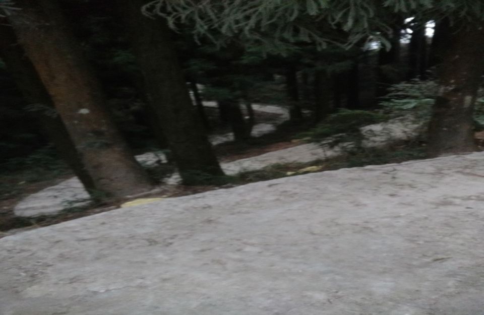 Photo of Sandakphu – The inaugural adventure jaunt 1/18 by Mrinmoyee Chakraborty