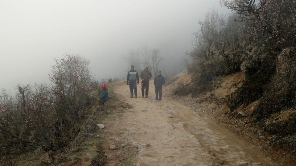 Photo of Sandakphu – The inaugural adventure jaunt 12/18 by Mrinmoyee Chakraborty