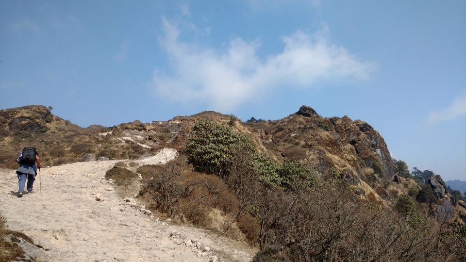 Photo of Sandakphu – The inaugural adventure jaunt 14/18 by Mrinmoyee Chakraborty
