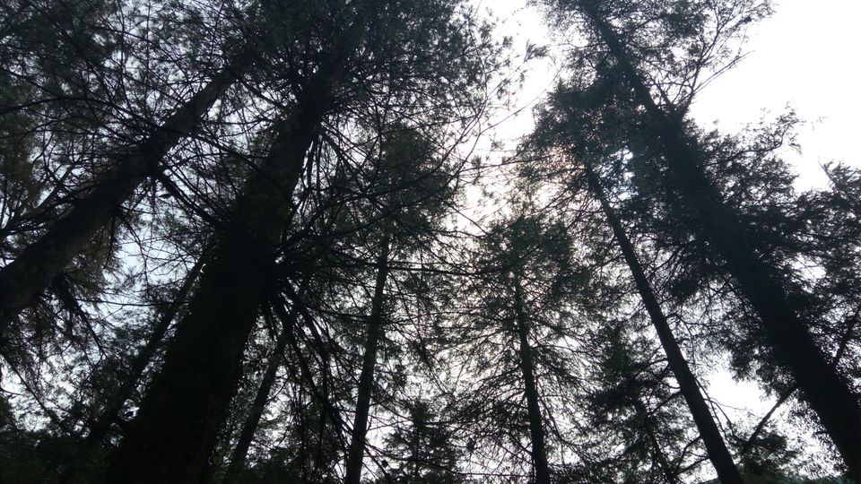 Photo of My first Himalayan trekking expedition and this is how it turned out to be. by Aastha Patangia