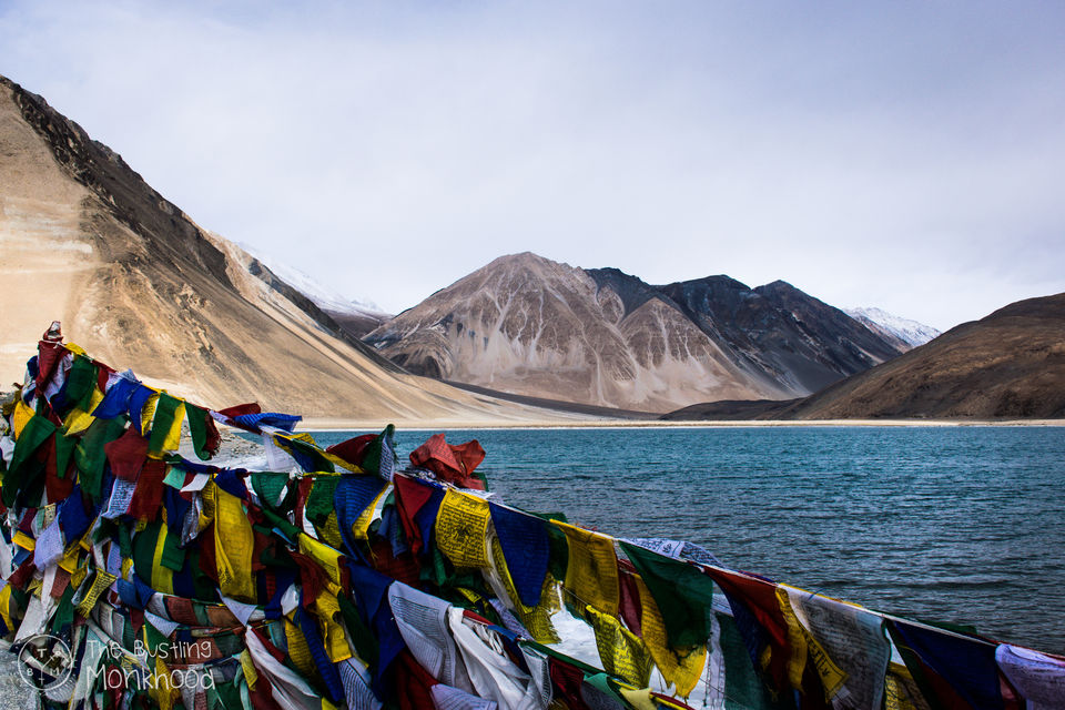 Photo of Chadar Trek - My Moment Of Epiphany 10/30 by Kshitiz Singh