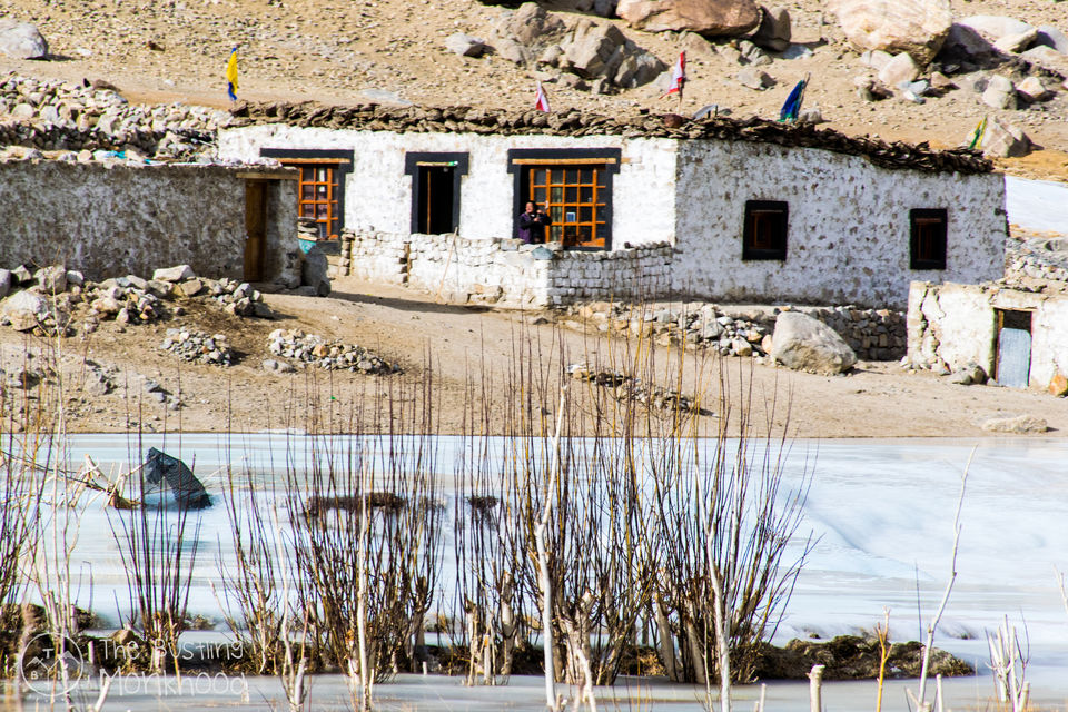 Photo of Chadar Trek - My Moment Of Epiphany 12/30 by Kshitiz Singh
