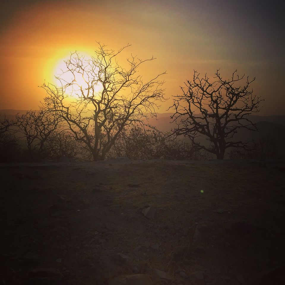 Photo of Udaipur, Rajasthan, India by Netra Agarwal