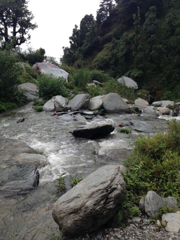 Photo of Mcleod Ganj- Walk. Relax. Eat. Repeat. by Netra Agarwal