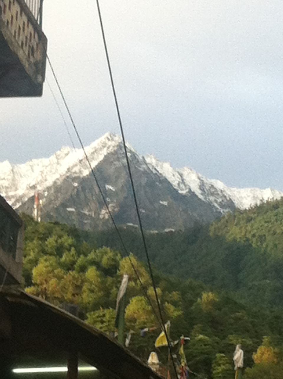 Photo of Mcleod Ganj- Walk. Relax. Eat. Repeat. by Netra Agarwal