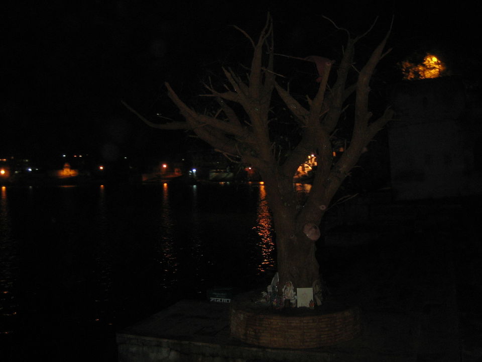 Photo of Pushkar, Rajasthan, India by Netra Agarwal