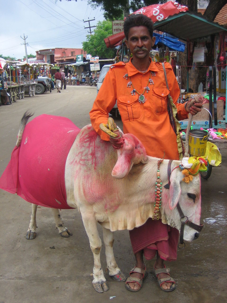 Photo of Rajasthan's bohemian town- Pushkar by Netra Agarwal