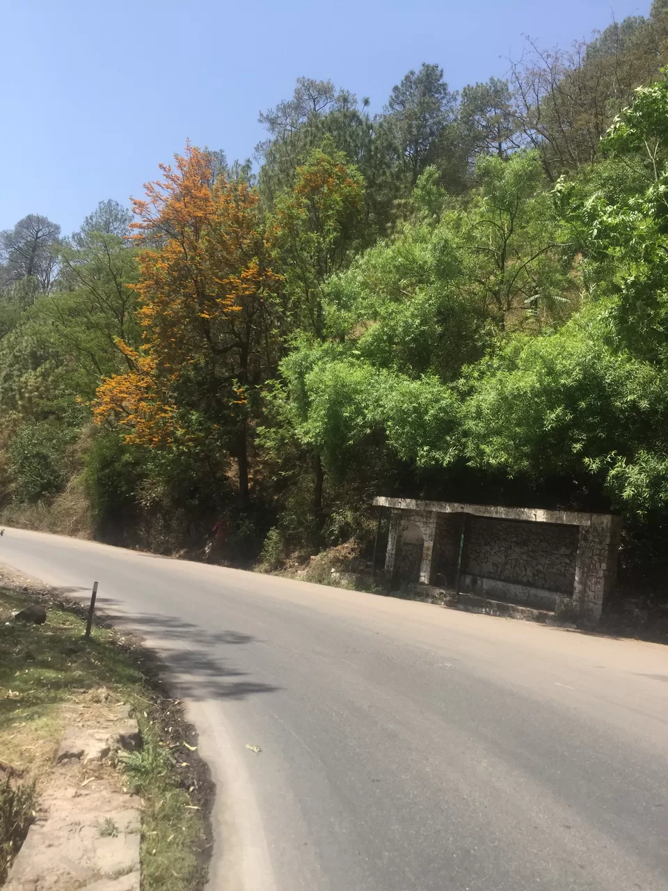 Photo of A roadtrip to Shimla and Manali by Netra Agarwal
