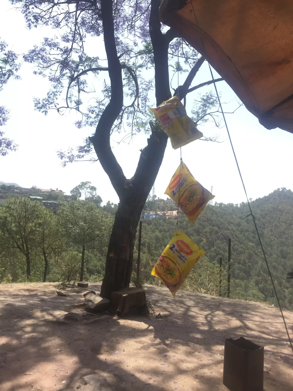 Photo of A roadtrip to Shimla and Manali by Netra Agarwal