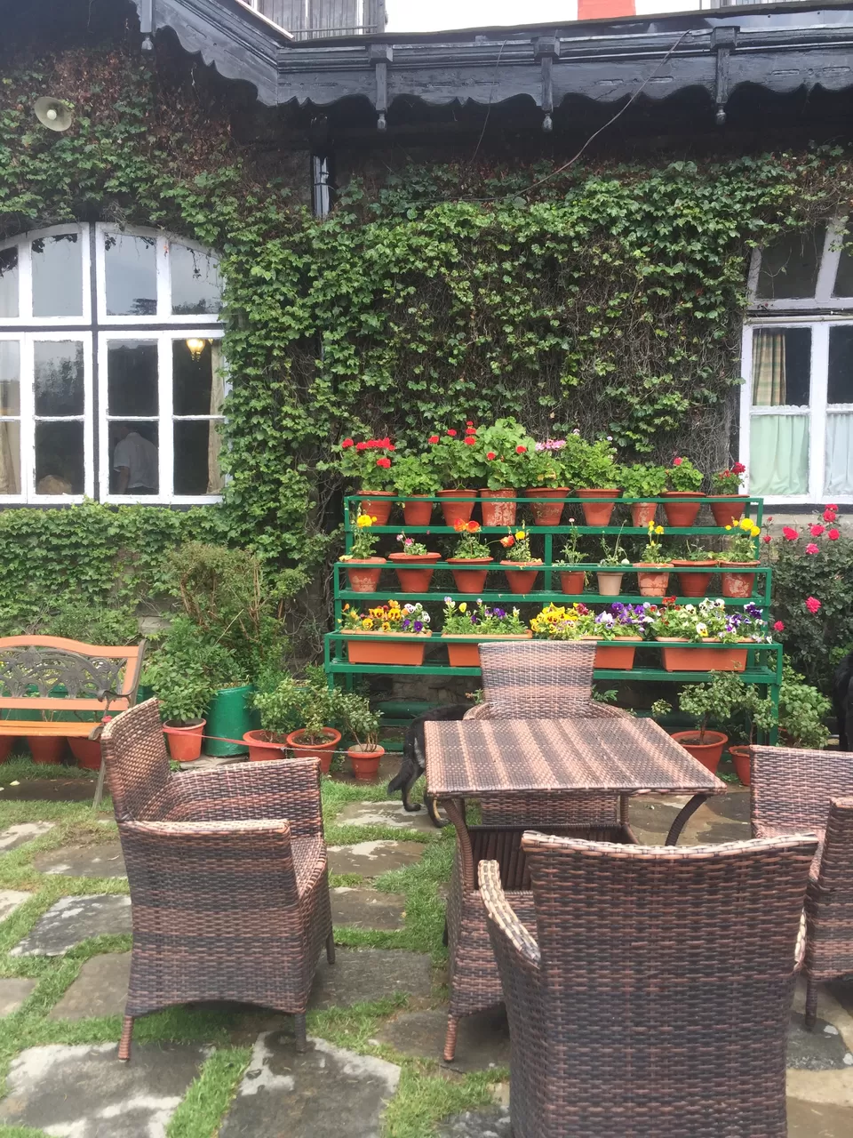 Photo of Chapslee, Longwood, Shimla, Himachal Pradesh, India by Netra Agarwal