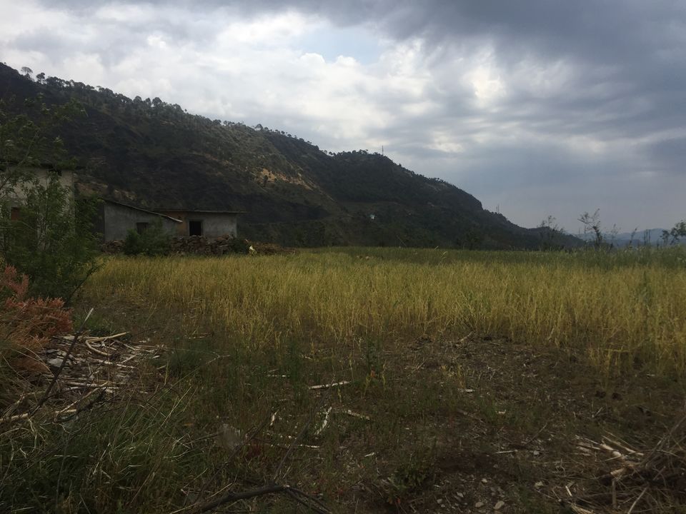 Photo of A roadtrip to Shimla and Manali by Netra Agarwal