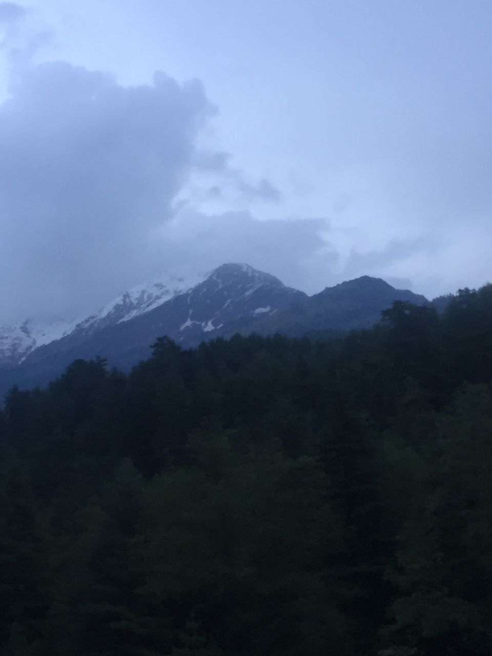 Photo of A roadtrip to Shimla and Manali by Netra Agarwal