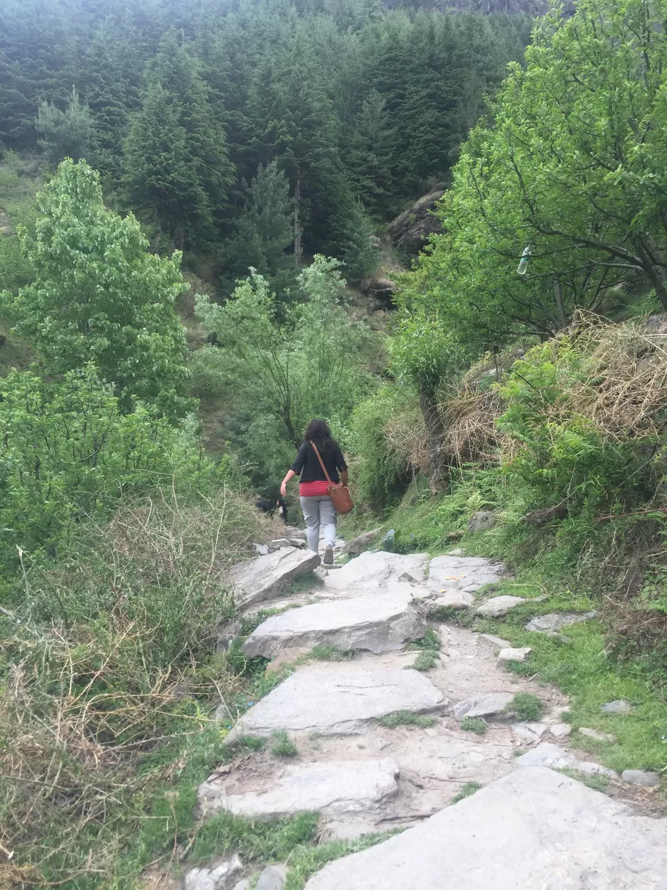 Photo of Bashisht, Himachal Pradesh, India by Netra Agarwal
