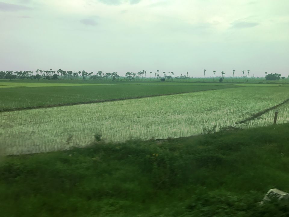 Photo of Delhi to Chennai- As seen through the window of a train by Netra Agarwal