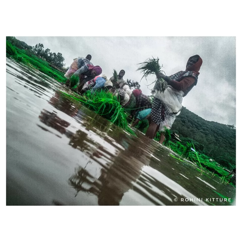 Photo of Takave, Maharashtra, India by Rohini Kitture