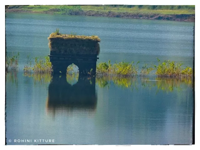 Photo of Dhom, Maharashtra, India by Rohini Kitture