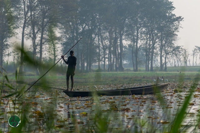 Photo of Kanwar : A dying lake 8/21 by दो - घुमक्कड़