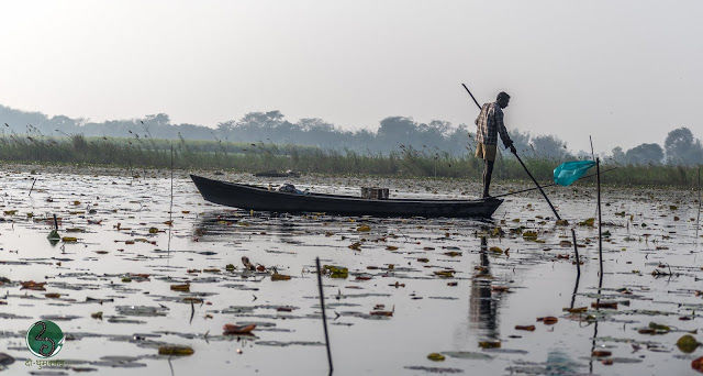 Photo of Kanwar : A dying lake 5/21 by दो - घुमक्कड़