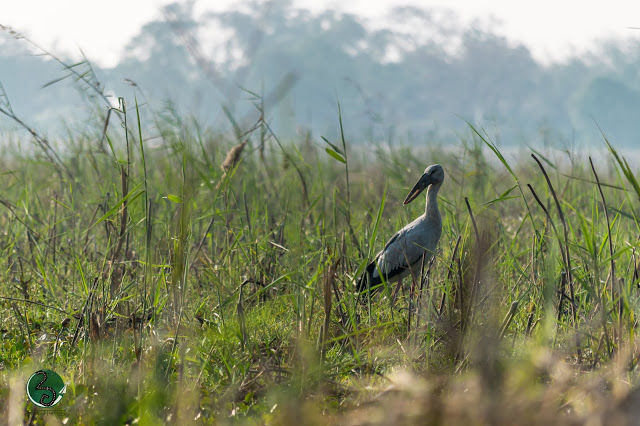 Photo of Kanwar : A dying lake 10/21 by दो - घुमक्कड़