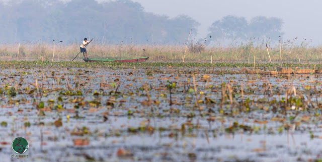 Photo of Kanwar : A dying lake 16/21 by दो - घुमक्कड़