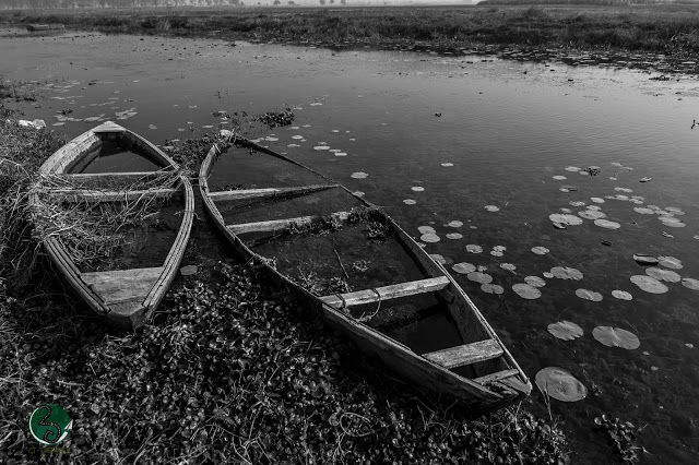 Photo of Kanwar : A dying lake 20/21 by दो - घुमक्कड़
