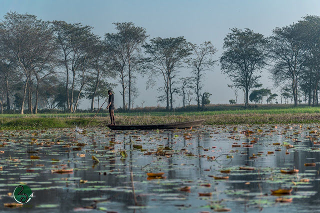 Photo of Kanwar : A dying lake 21/21 by दो - घुमक्कड़