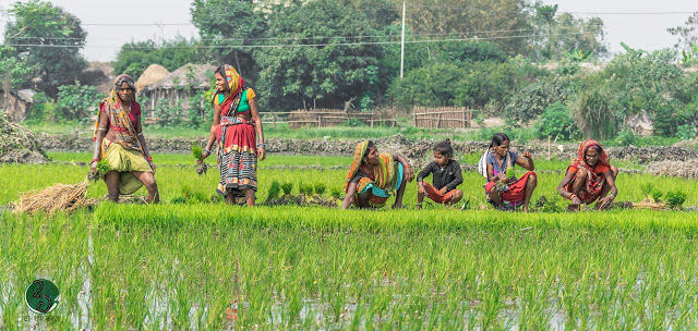 Photo of Supaul, Bihar, India by दो - घुमक्कड़