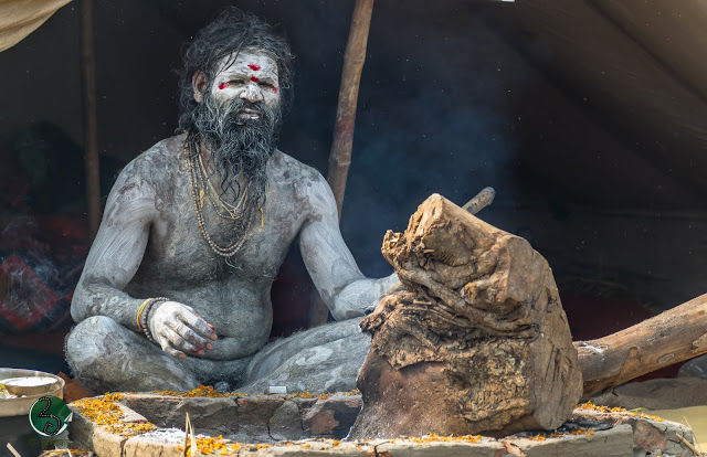 Photo of Naga Sadhus: The Protector of Sanatan Dharma 4/23 by दो - घुमक्कड़