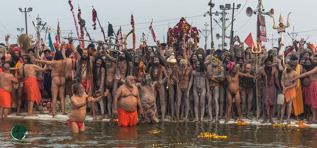 Photo of Naga Sadhus: The Protector of Sanatan Dharma 2/23 by दो - घुमक्कड़