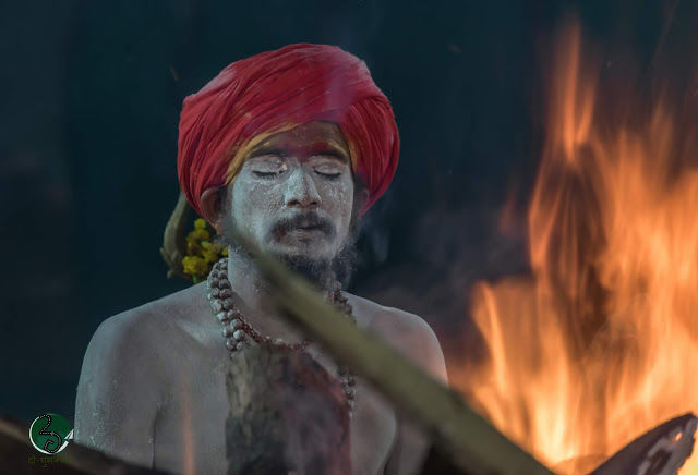Photo of Naga Sadhus: The Protector of Sanatan Dharma 8/23 by दो - घुमक्कड़