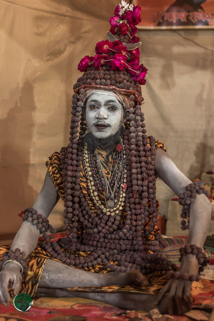 Photo of Naga Sadhus: The Protector of Sanatan Dharma 12/23 by दो - घुमक्कड़