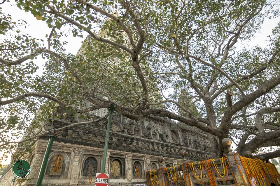 Photo of Bodh Gaya:The Land of Enlightenment 9/22 by दो - घुमक्कड़