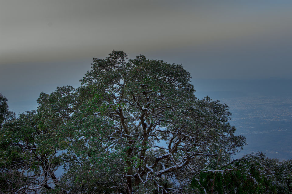 Photo of Weekend Getaway to Mussoorie...The Queen of Hills by Aayush Mittal
