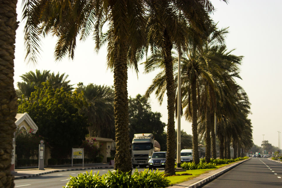 Photo of Shades Of Dubai by Aayush Mittal