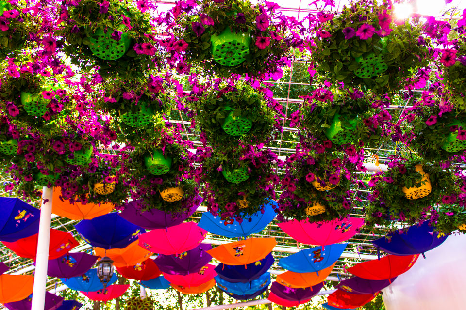 Photo of Shades Of Dubai by Aayush Mittal