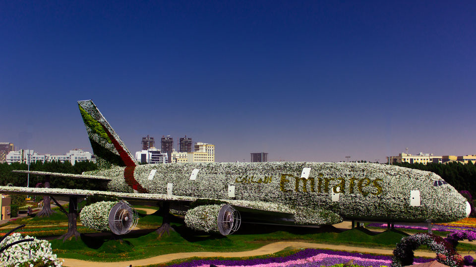 Photo of Miracle Garden 1 - Arjan-Dubailand - Dubai - United Arab Emirates by Aayush Mittal