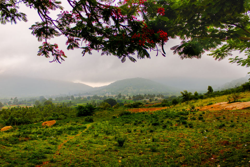 Photo of Nandi Hills...Silicon Valley's Paradise 1/6 by Aayush Mittal