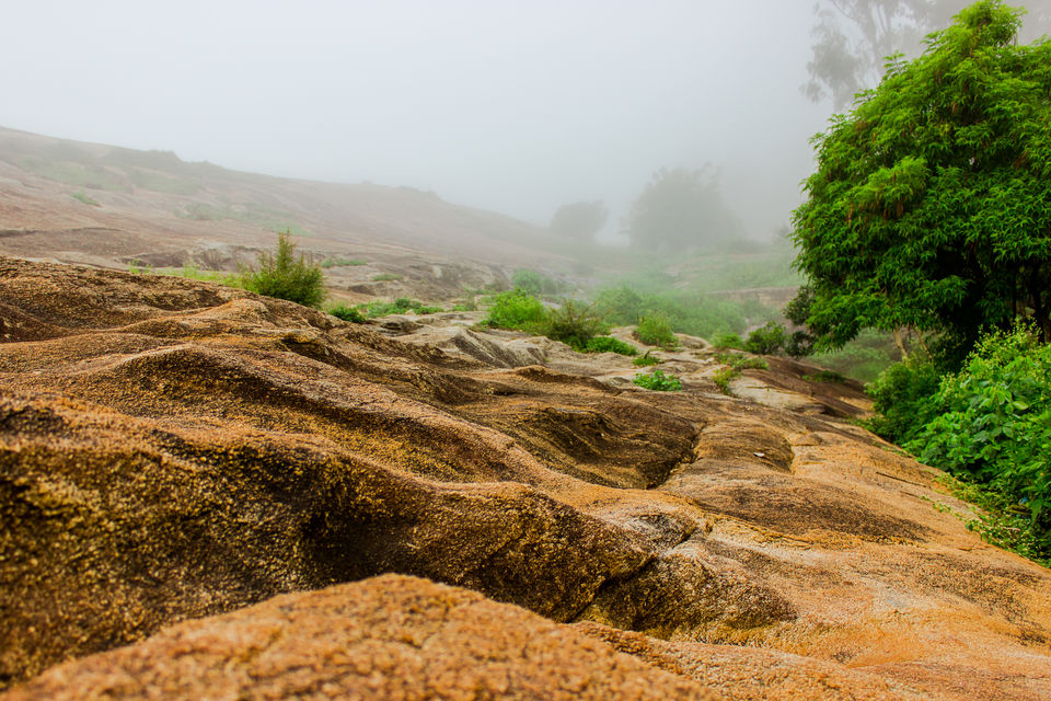 Photo of Nandi Hills...Silicon Valley's Paradise 4/6 by Aayush Mittal