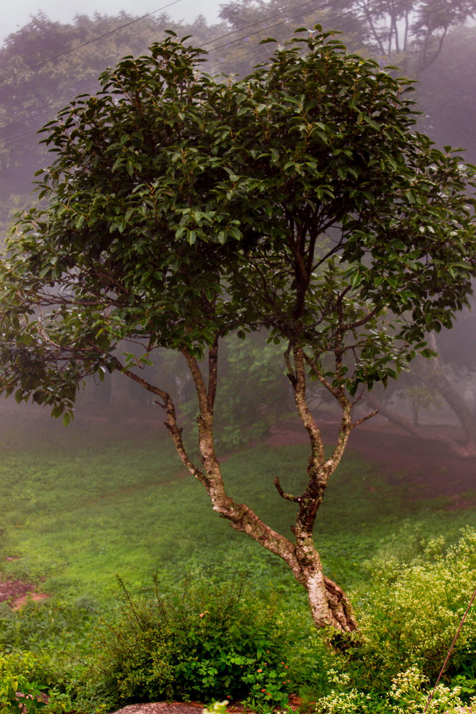 Photo of Nandi Hills...Silicon Valley's Paradise 5/6 by Aayush Mittal