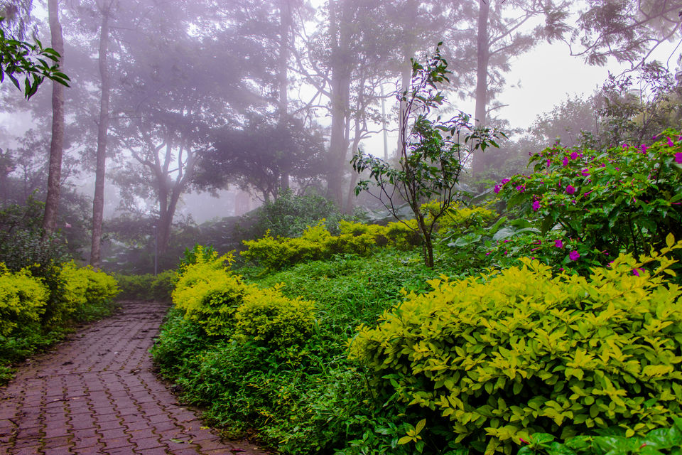 Photo of Nandi Hills...Silicon Valley's Paradise 3/6 by Aayush Mittal