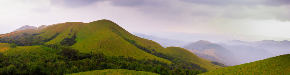 Photo of COORG...The SCOTLAND of INDIA by Aayush Mittal