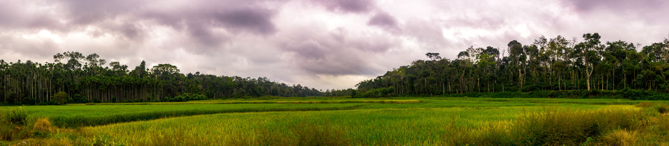 Photo of COORG...The SCOTLAND of INDIA 1/1 by Aayush Mittal